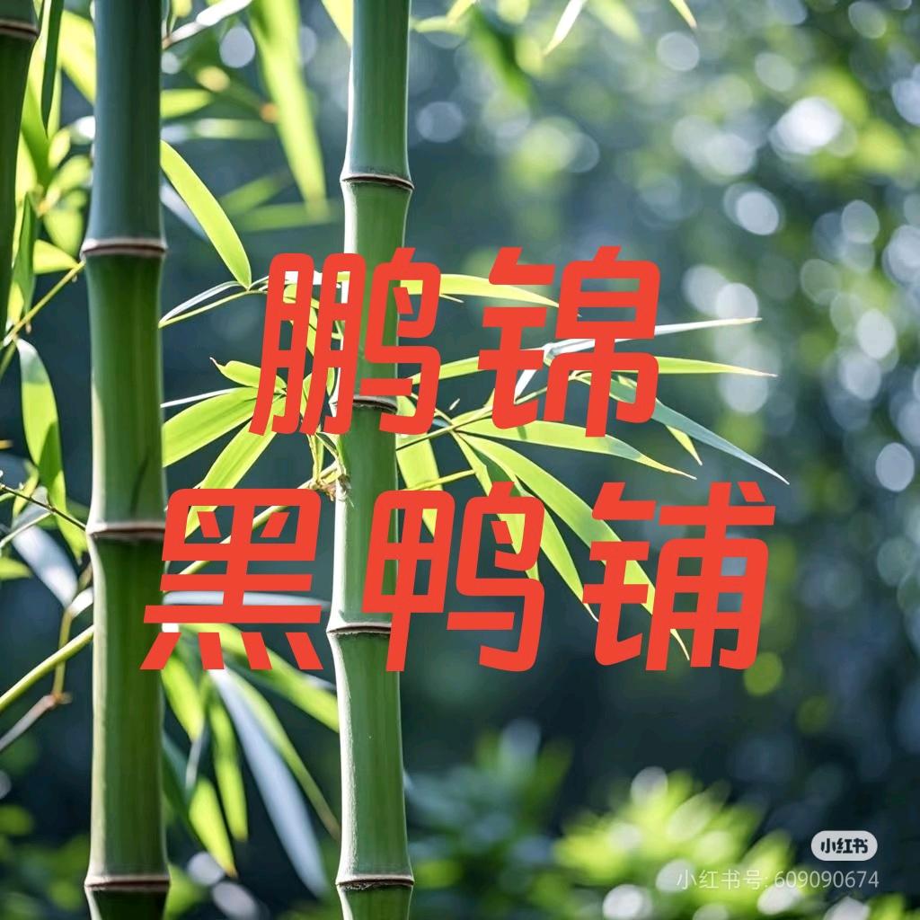 鹏锦黑鸭铺
