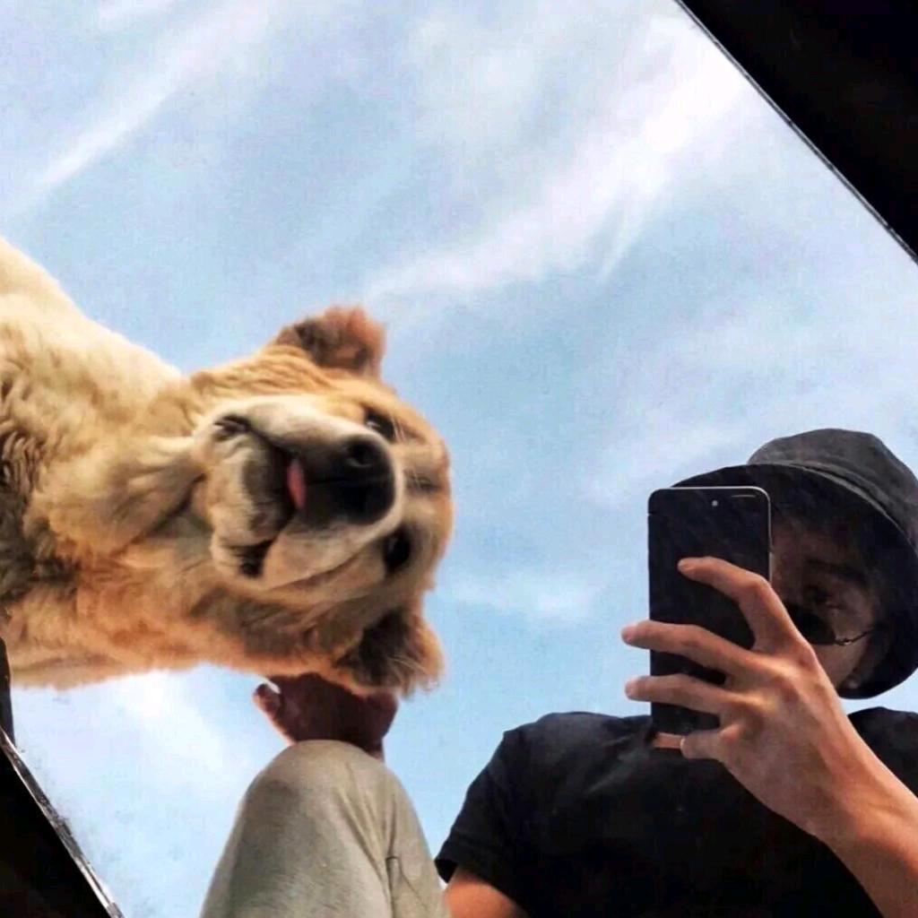 ㅤㅤ  ￰ㅤ  ㅤㅤ