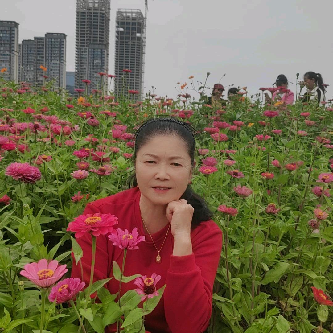 开心每一天🌷🌲🌷