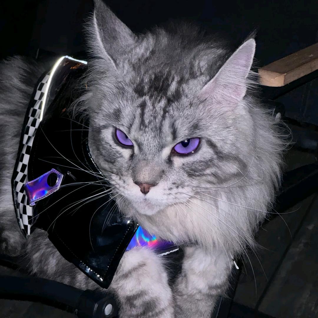 哦大半宿奥。发