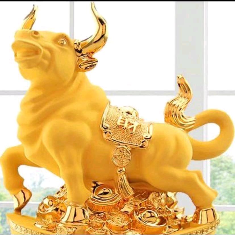 向往