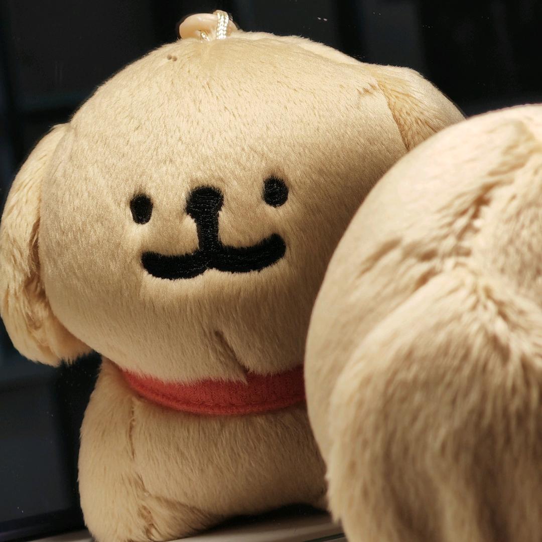 椰汁狗🥥（逢考必过版）
