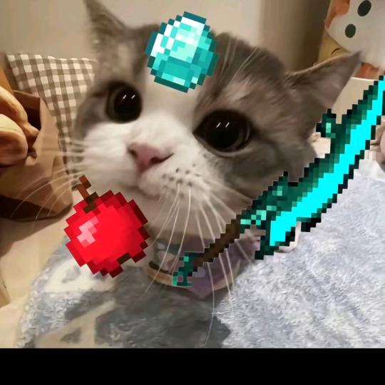 memeMC(开学慢更)