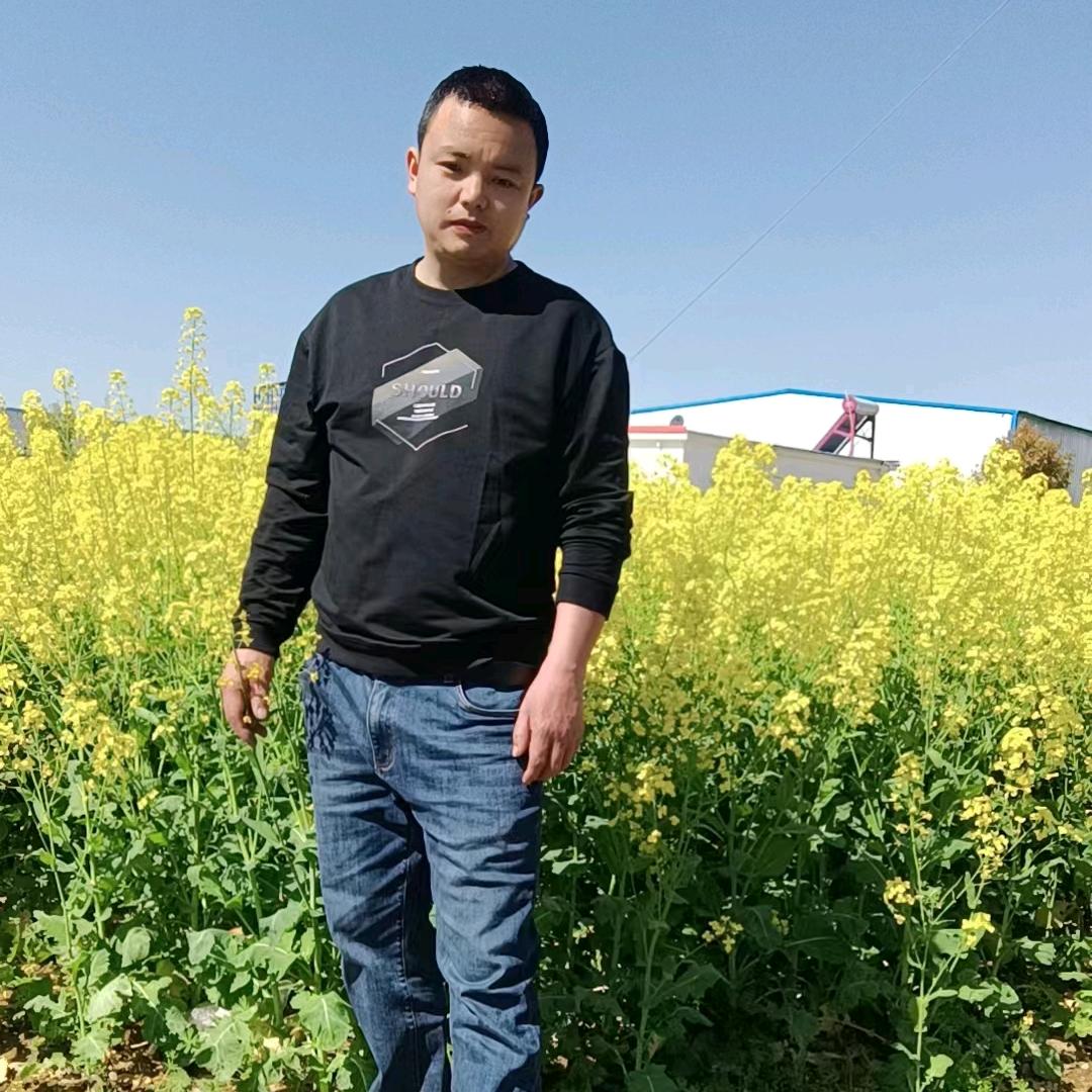木冬