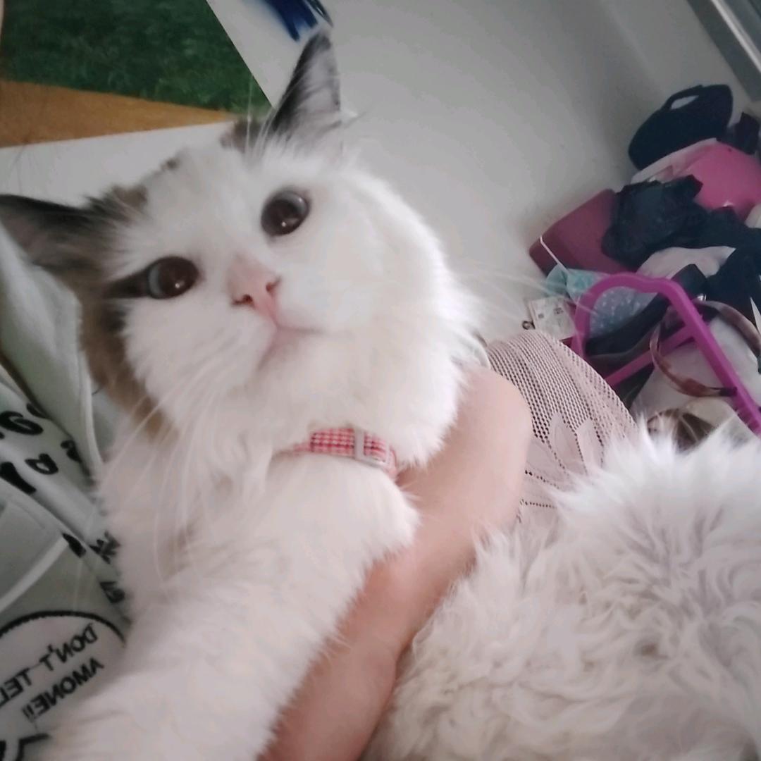 咪儿