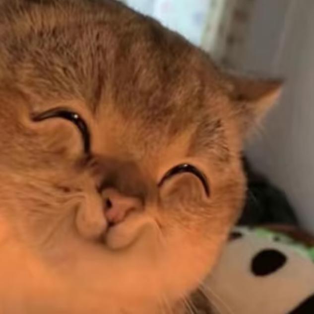 阳泱