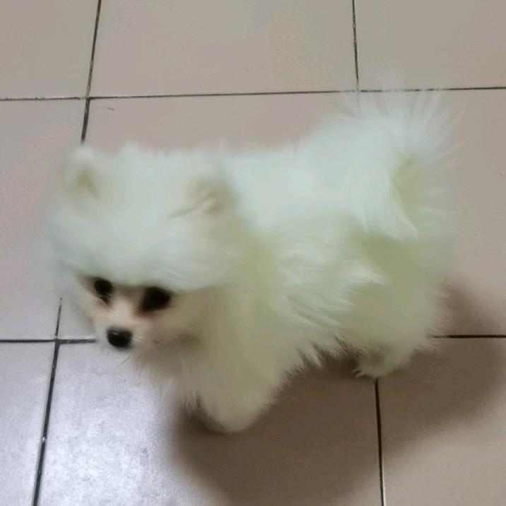 拒绝私聊，，凤儿