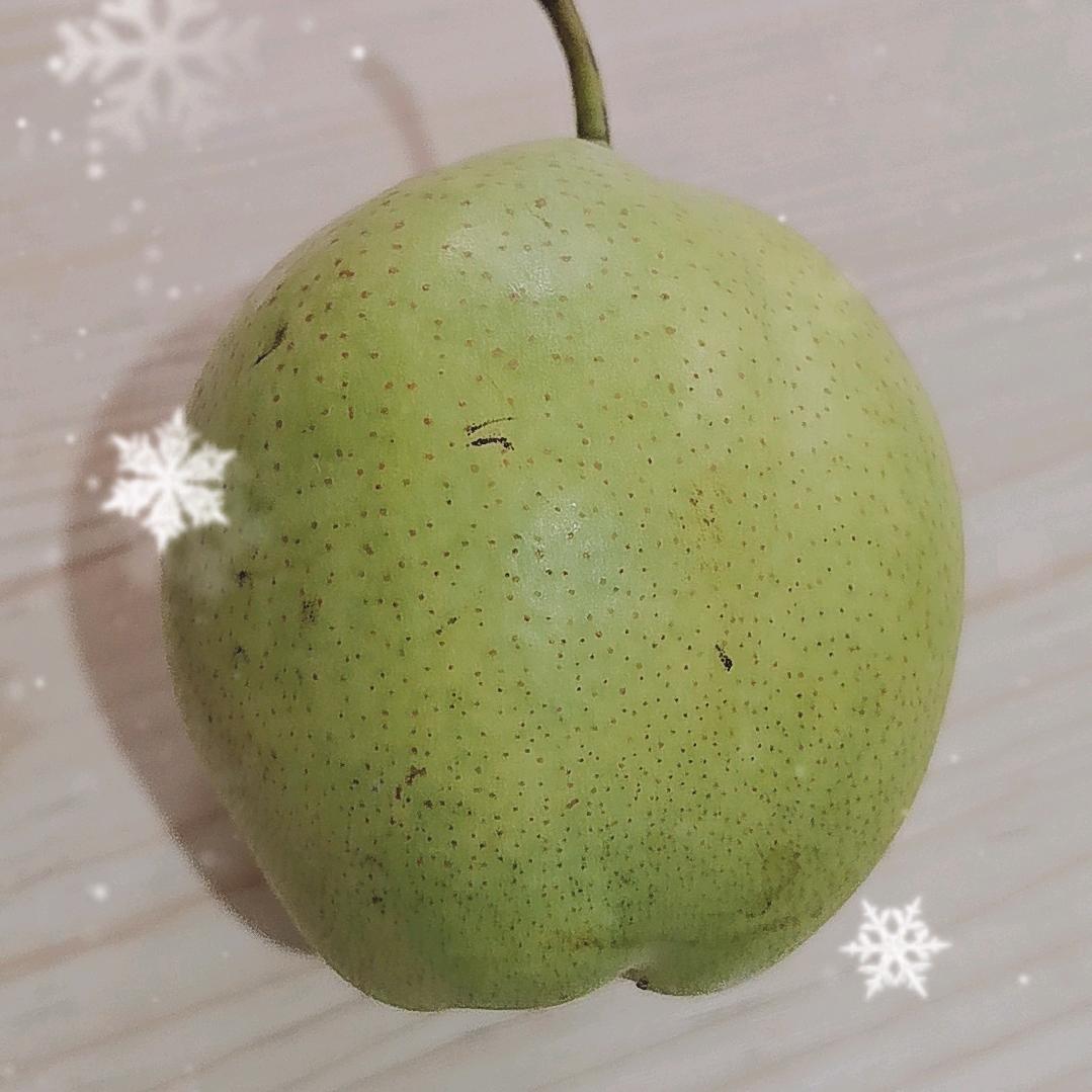 莫生
