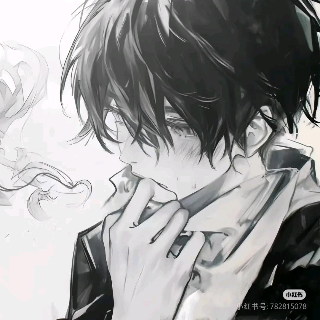 黑鲨鱼