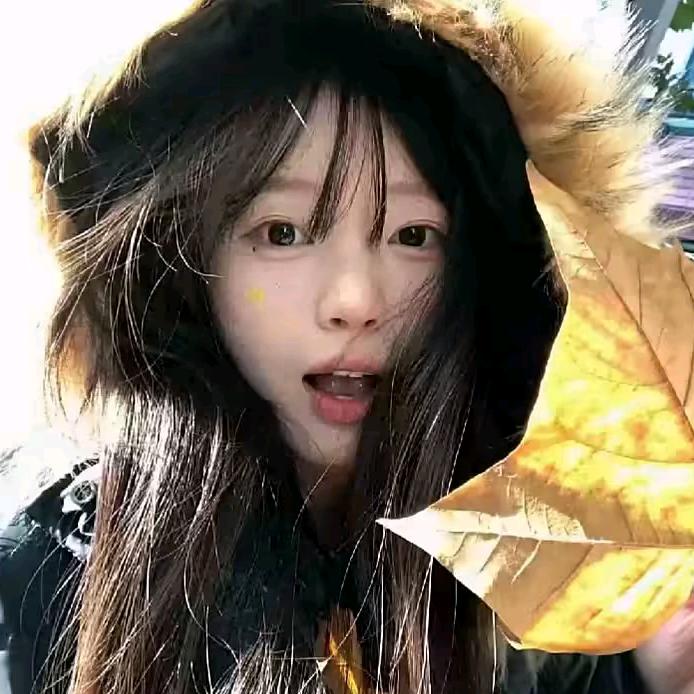 小芋圆本圆
