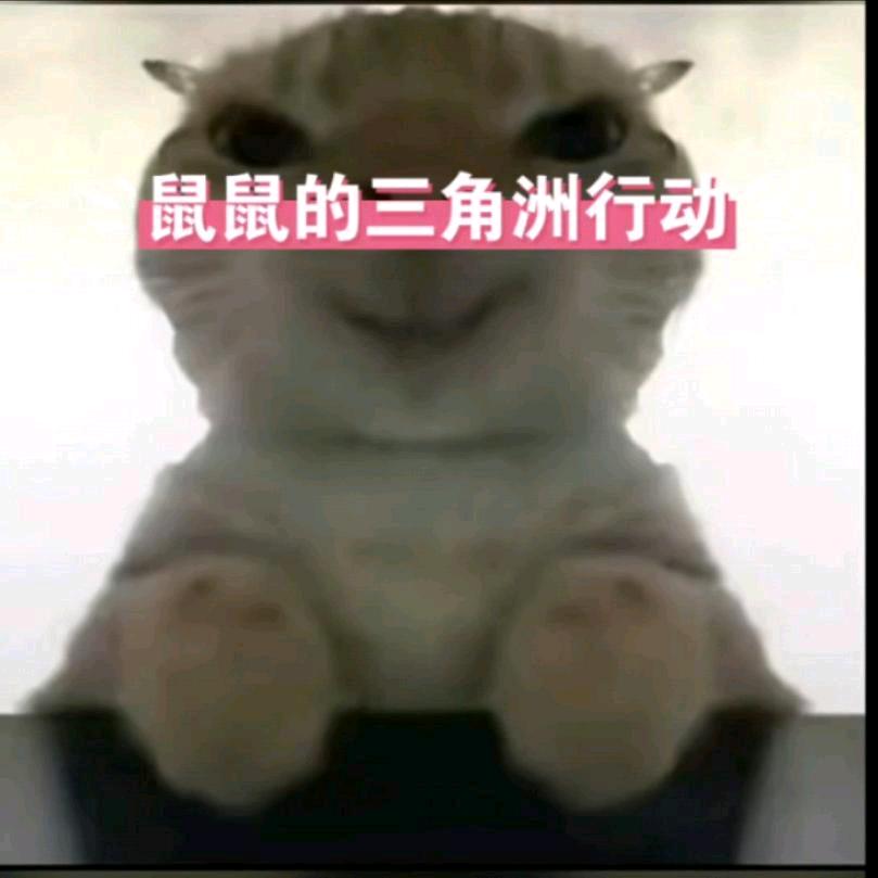 画老湿