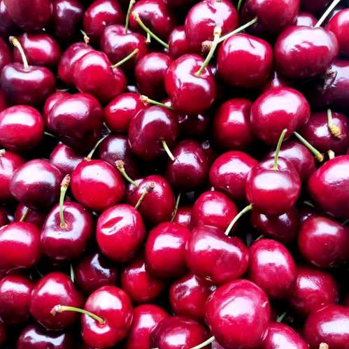 乌鲁木齐（同城小时达）