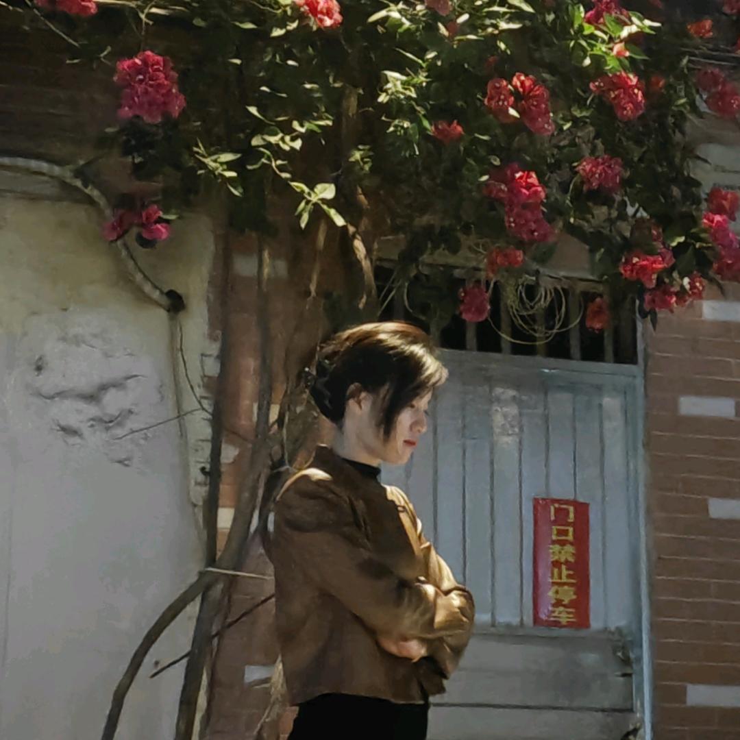 环诸葛葛