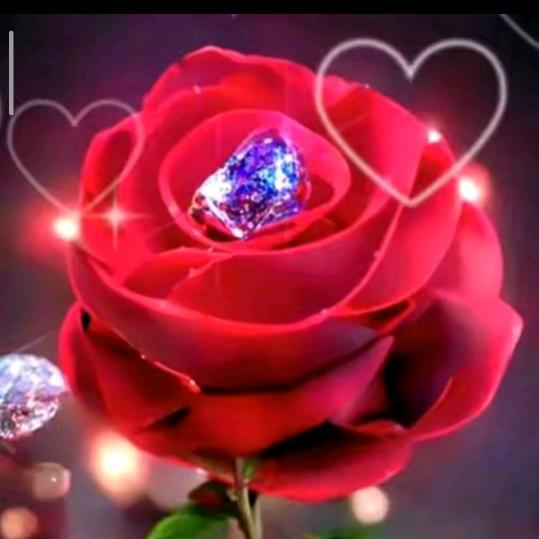 🍀蝶恋花🌹