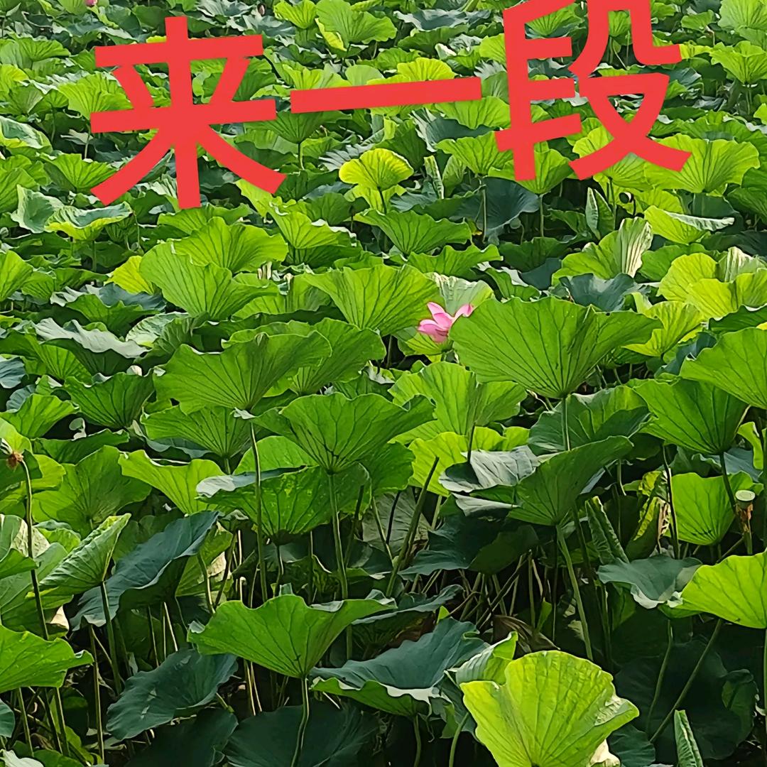 诚心待人