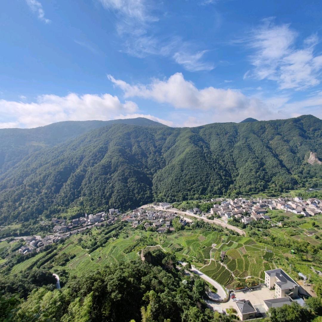 倾慕你温文尔雅