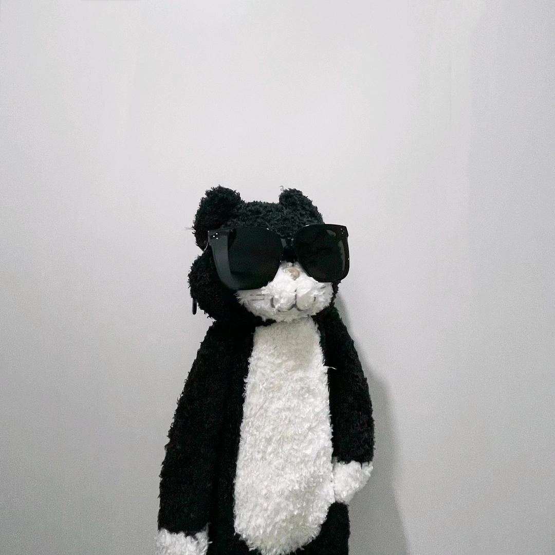 呆小布