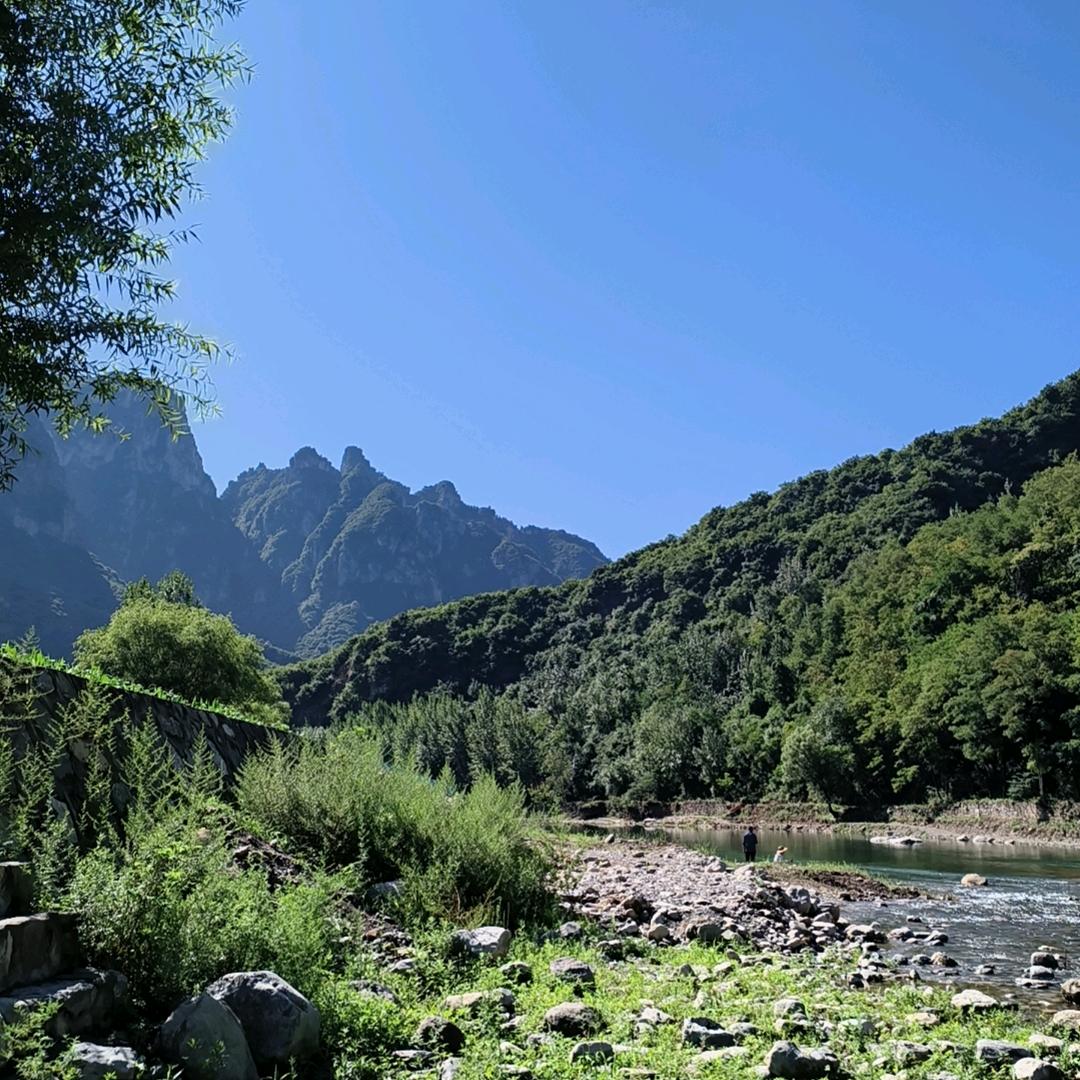 任杰（舞美基础搭建）