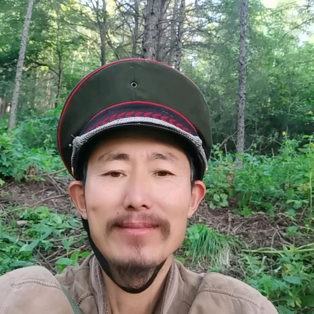 王二小放羊
