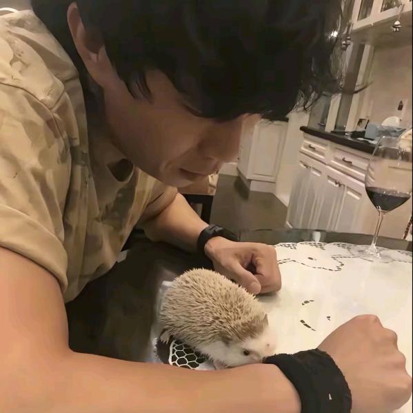 小灰