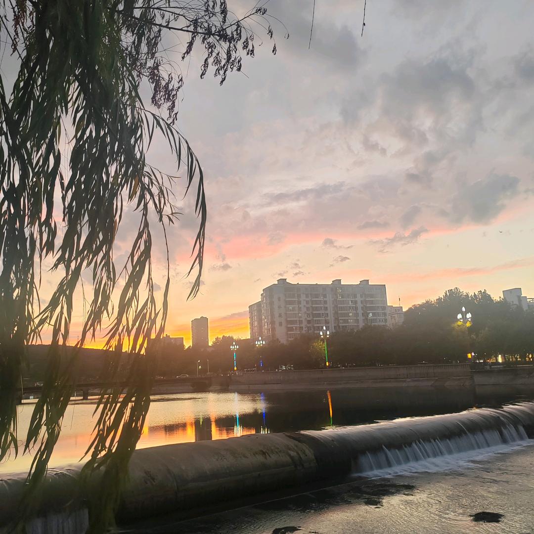 暖阳🌞