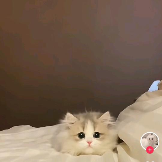 小榆
