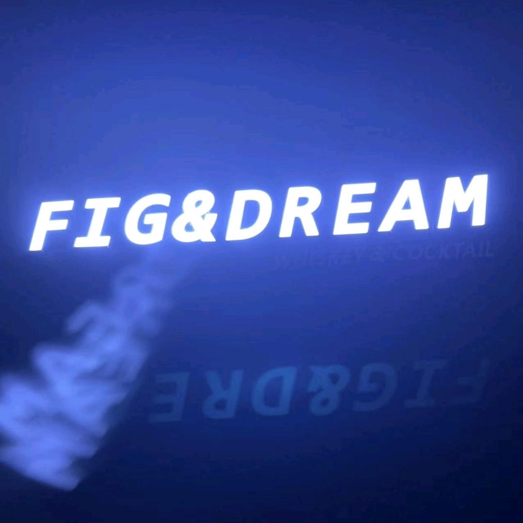 FIG&DREAM