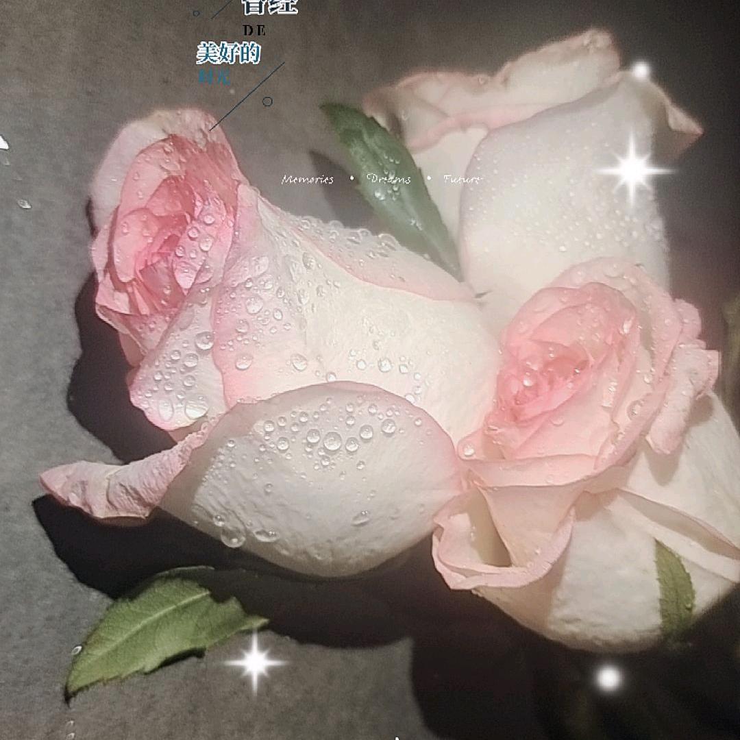 乐多