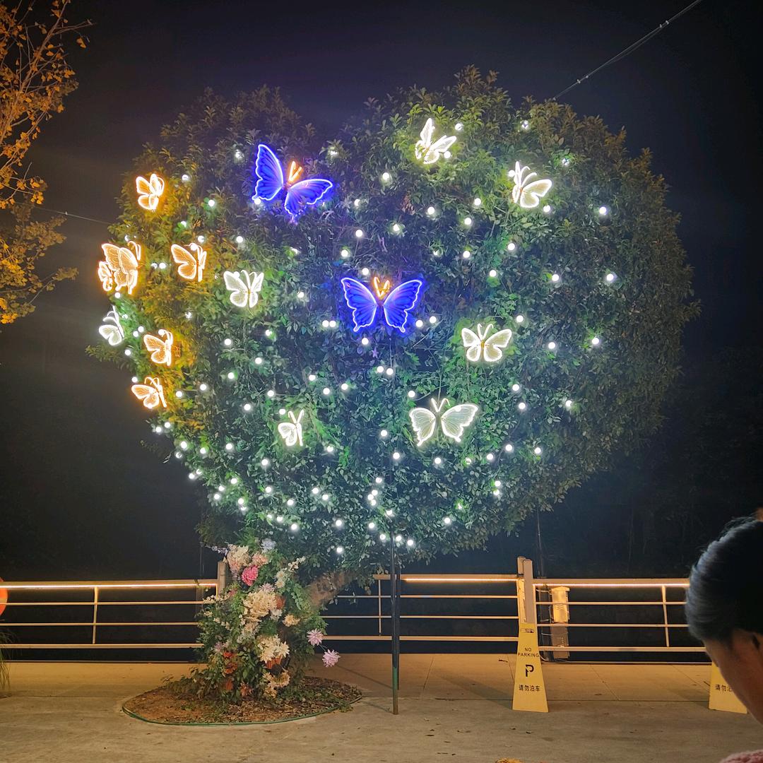 火火的大姐勇闯互联网