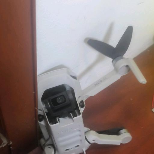 一只想飞上天空的小鱼