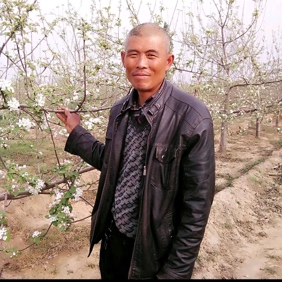 临猗农民苹果哥@抖音