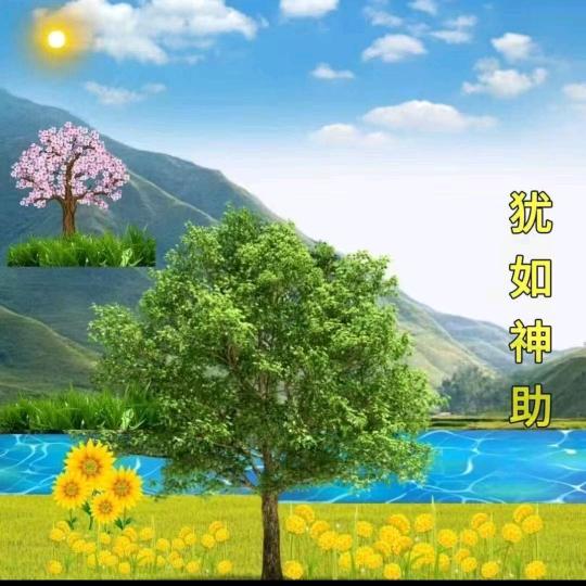 老谢卤肉，西街桥头老三猪蹄店