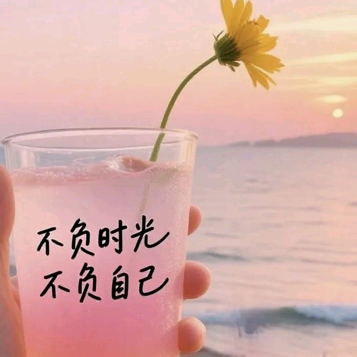 এ᭄木槿༊ღ᭄