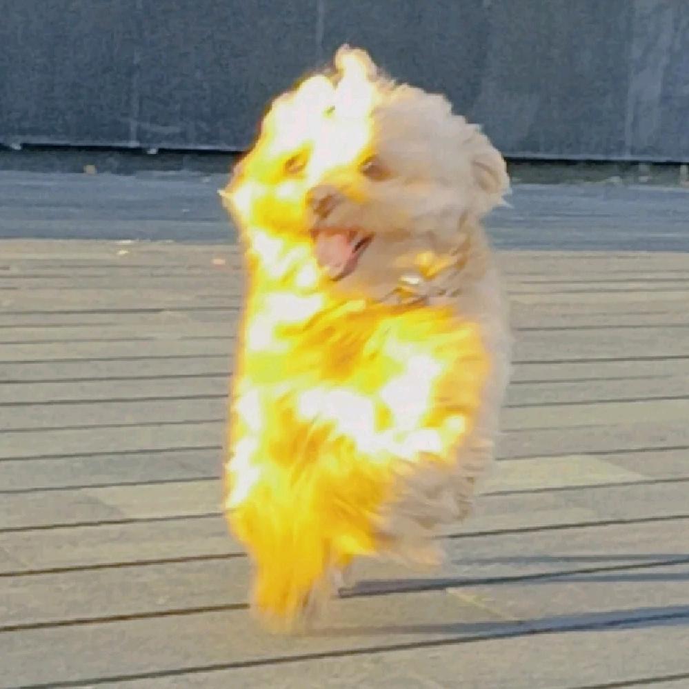 阿重ccccc