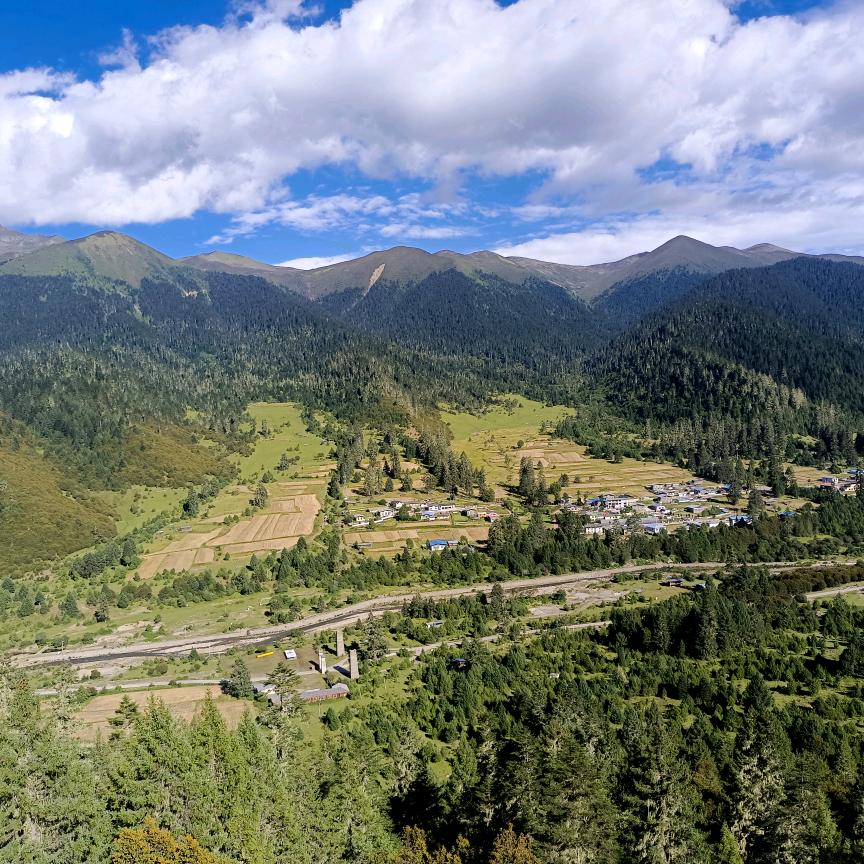 高中数学李老师