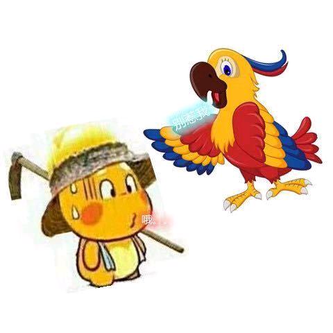 杨老弟小太阳鹦鹉养殖场