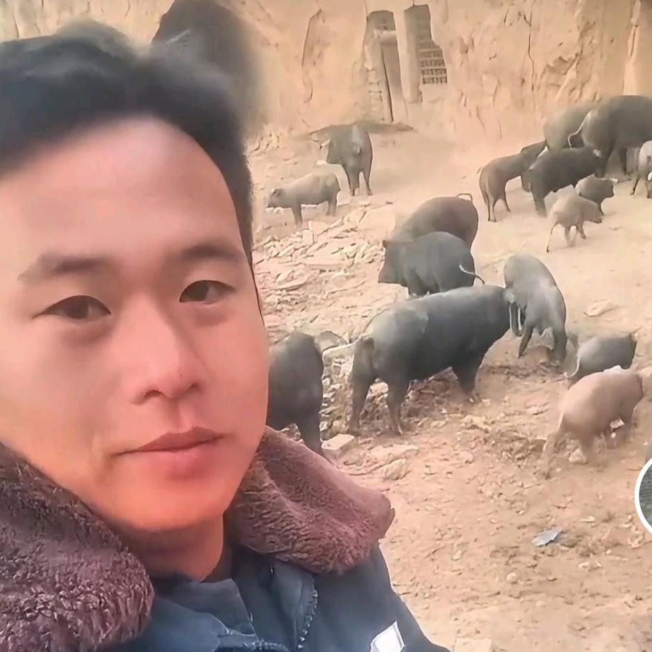 赵东