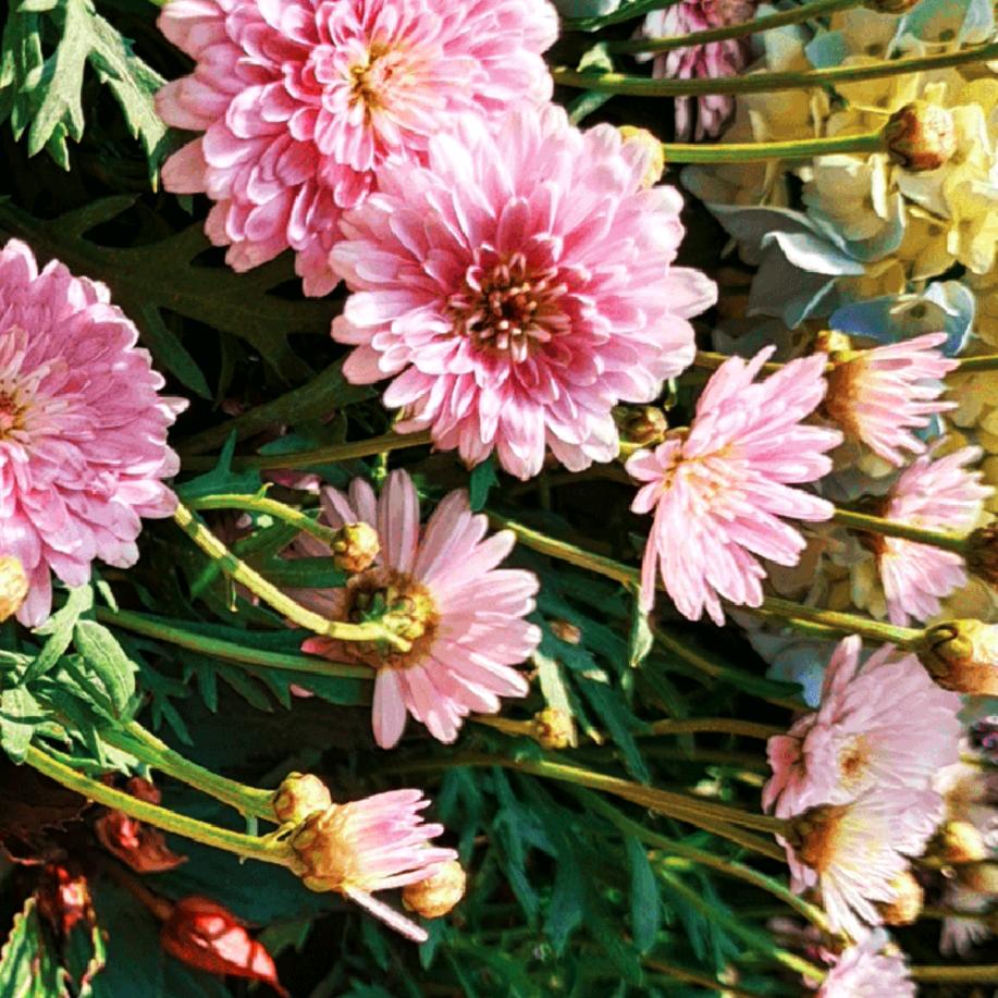 我会照顾好自己