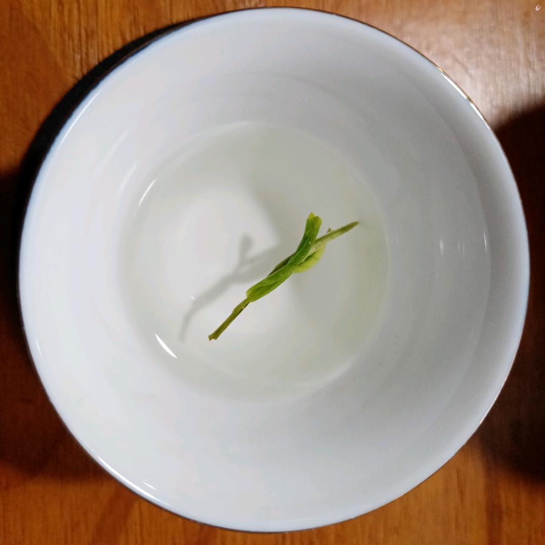 鱼腥草