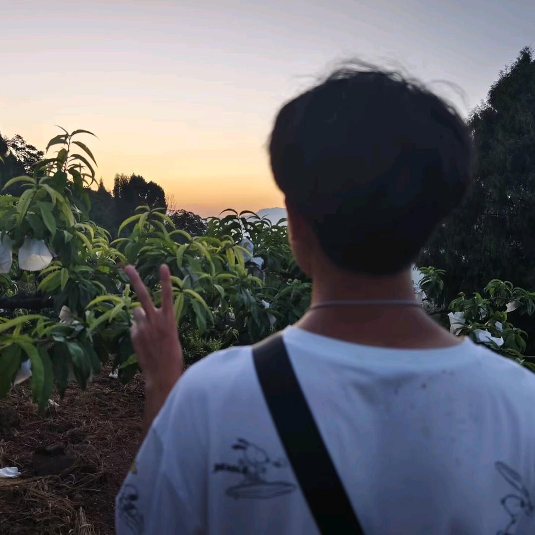 立即推☞复习到四点