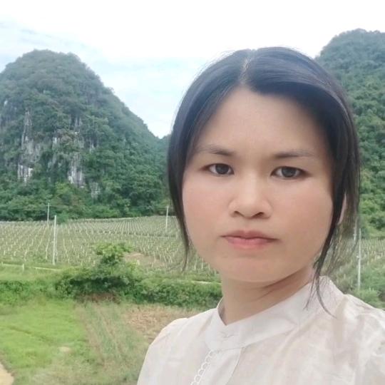哒珍