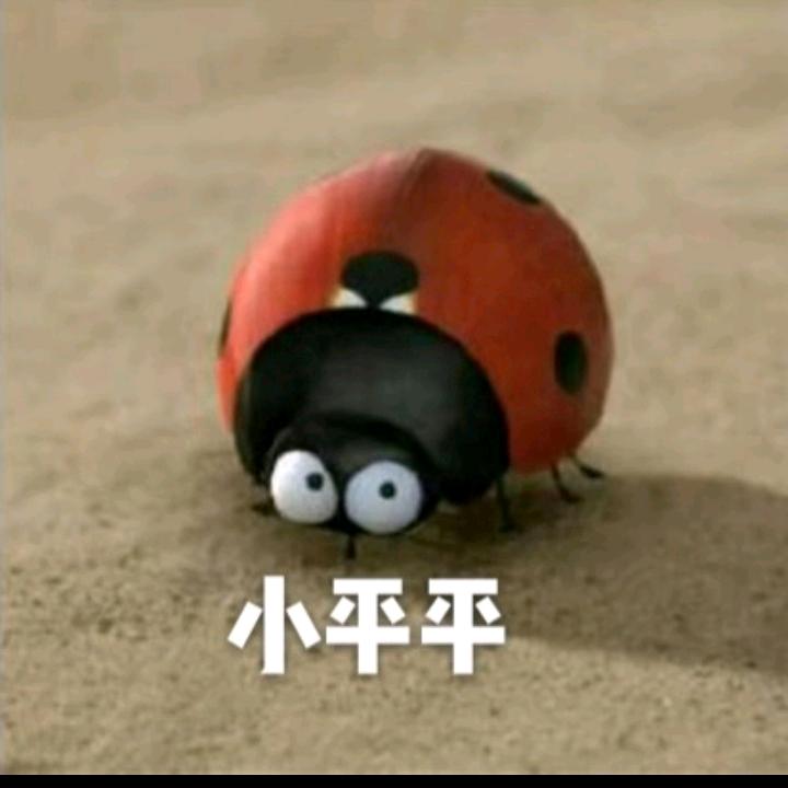 独宠薇薇的平平