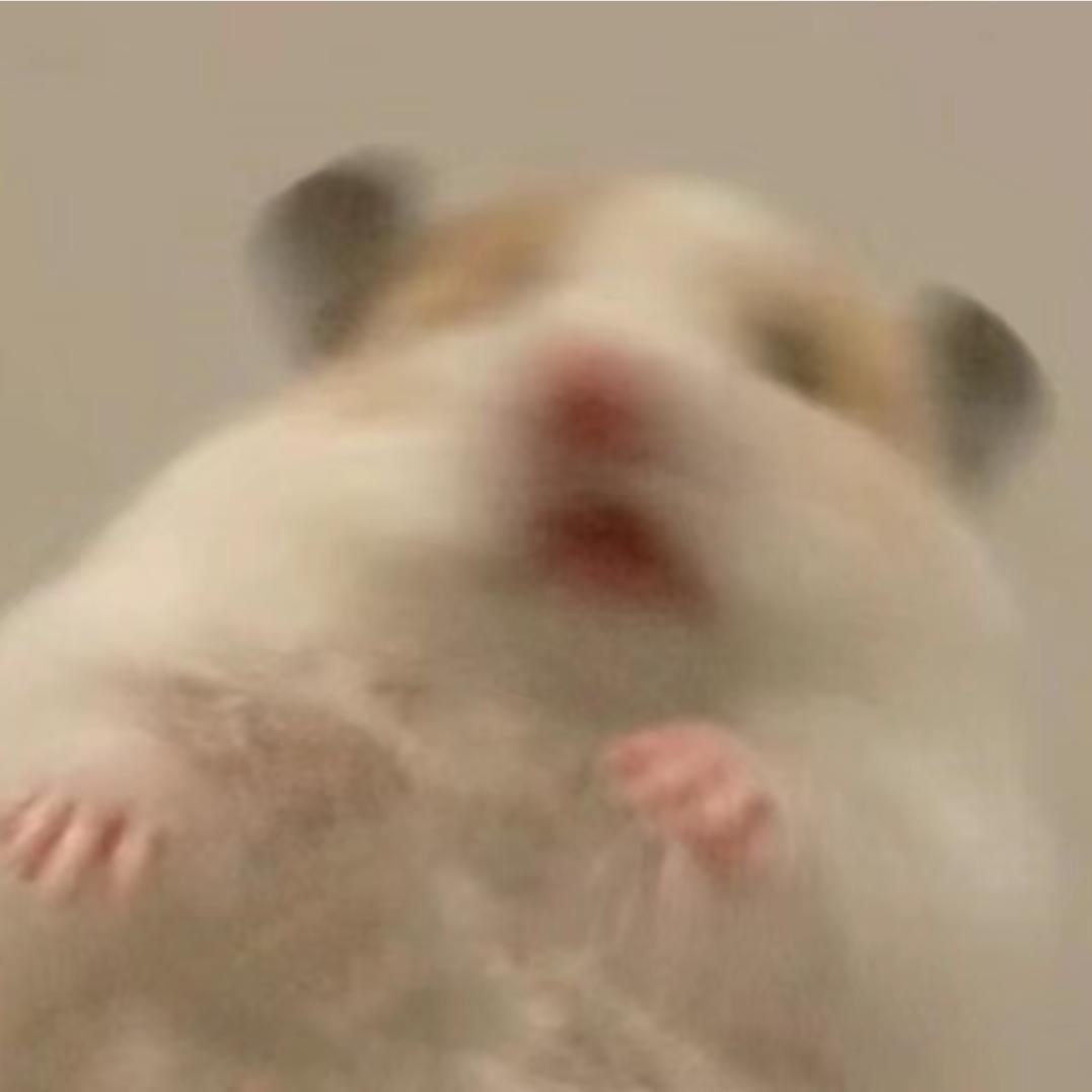 鼠道难~👑（身高一米九版）🥝