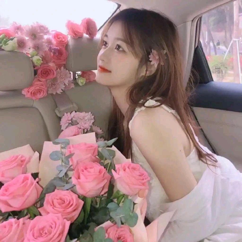蝴蝶兰花正开