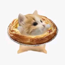 塔塔咪🥞
