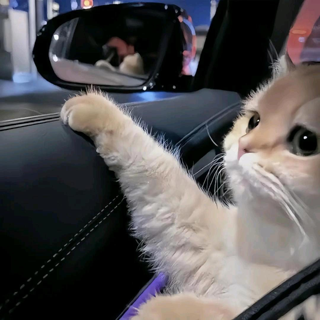 菏泽张洋建筑有限公司