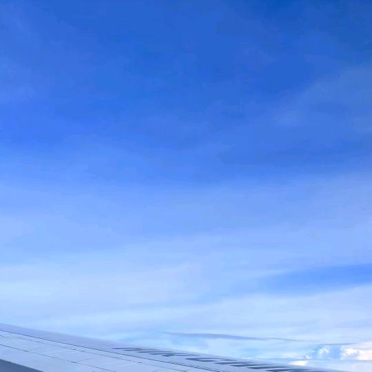 🎤🎤🎤🎤🎤🎤