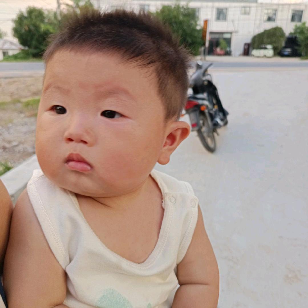 棠村收树哥收各种树木