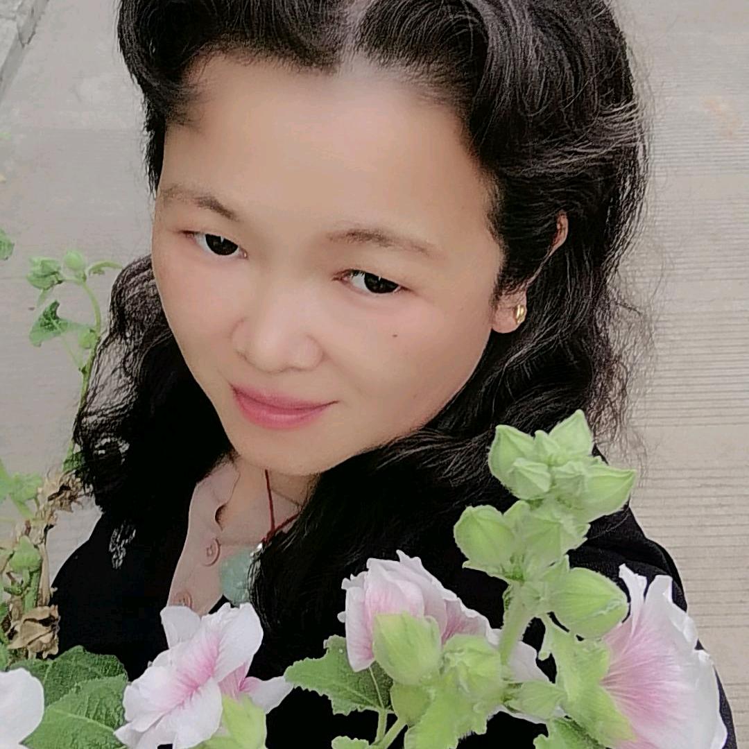 真心一念