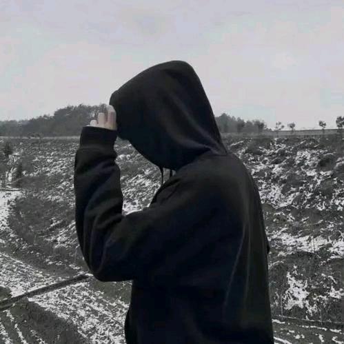 鹏鹏。。。。